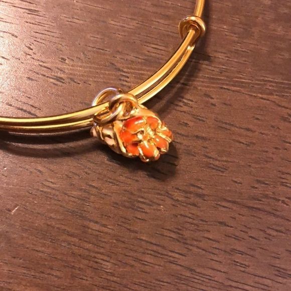 NWOT Alex and Ani Charity by Design Hermit Crab - Picture 7 of 7
